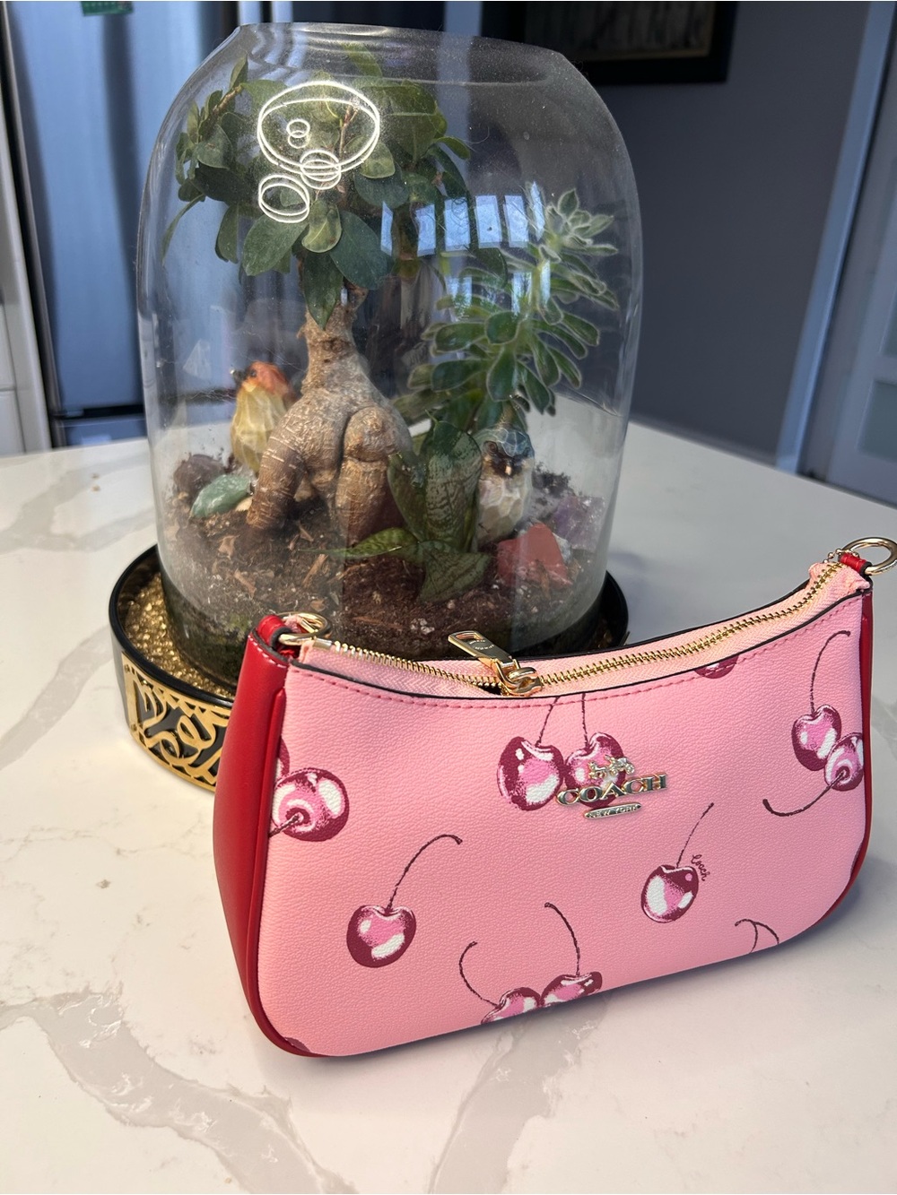 Coach Pink Cherry Print mini bag